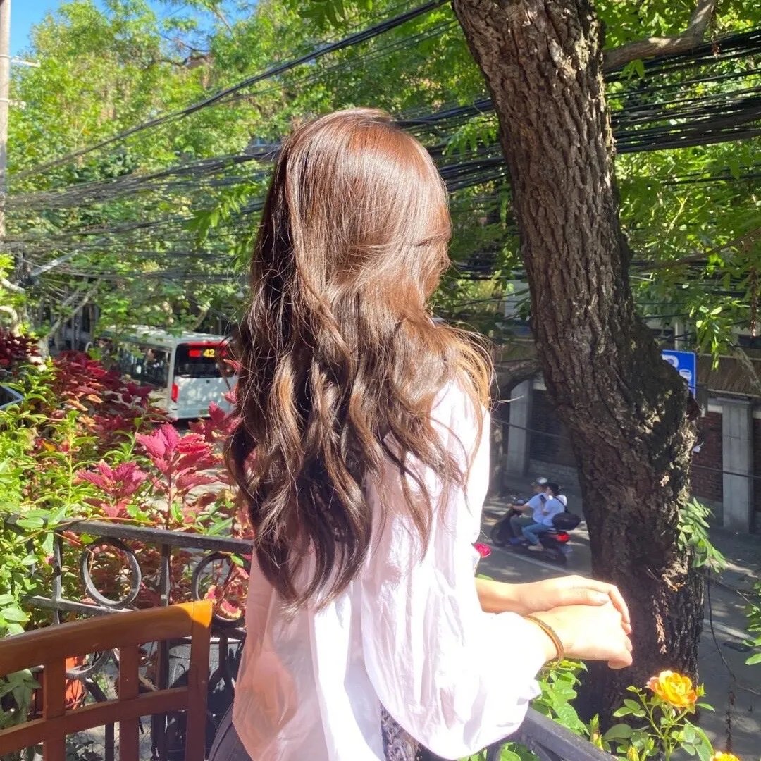 睡莲